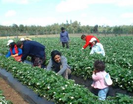 Aprobada la distribución del fondo de apoyo a la acogida y la integración de inmigrantes